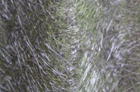 Upper Marsh fibreglass roof work